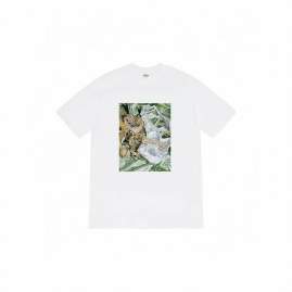 Picture of Supreme T Shirts Short _SKUSupremeS-2XLthtxS421272